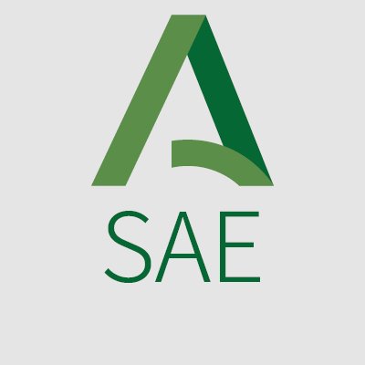 ¿Qué es el SAE?